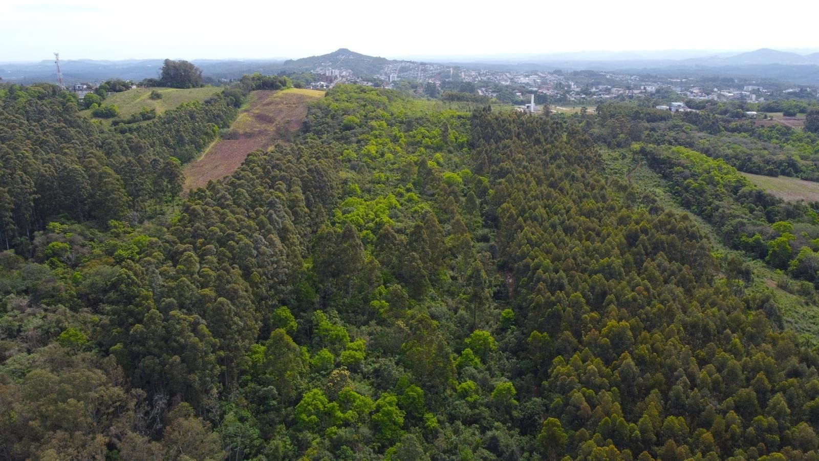 ÁREA DE TERRAS, 99875M² ÁREA TOTAL para venda EM COLINA VERDE - foto 1
