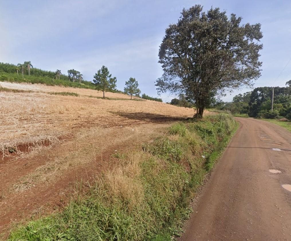 ÁREA DE TERRAS, 16000M² ÁREA TOTAL para venda EM MORRO DO PEDRO - foto 1