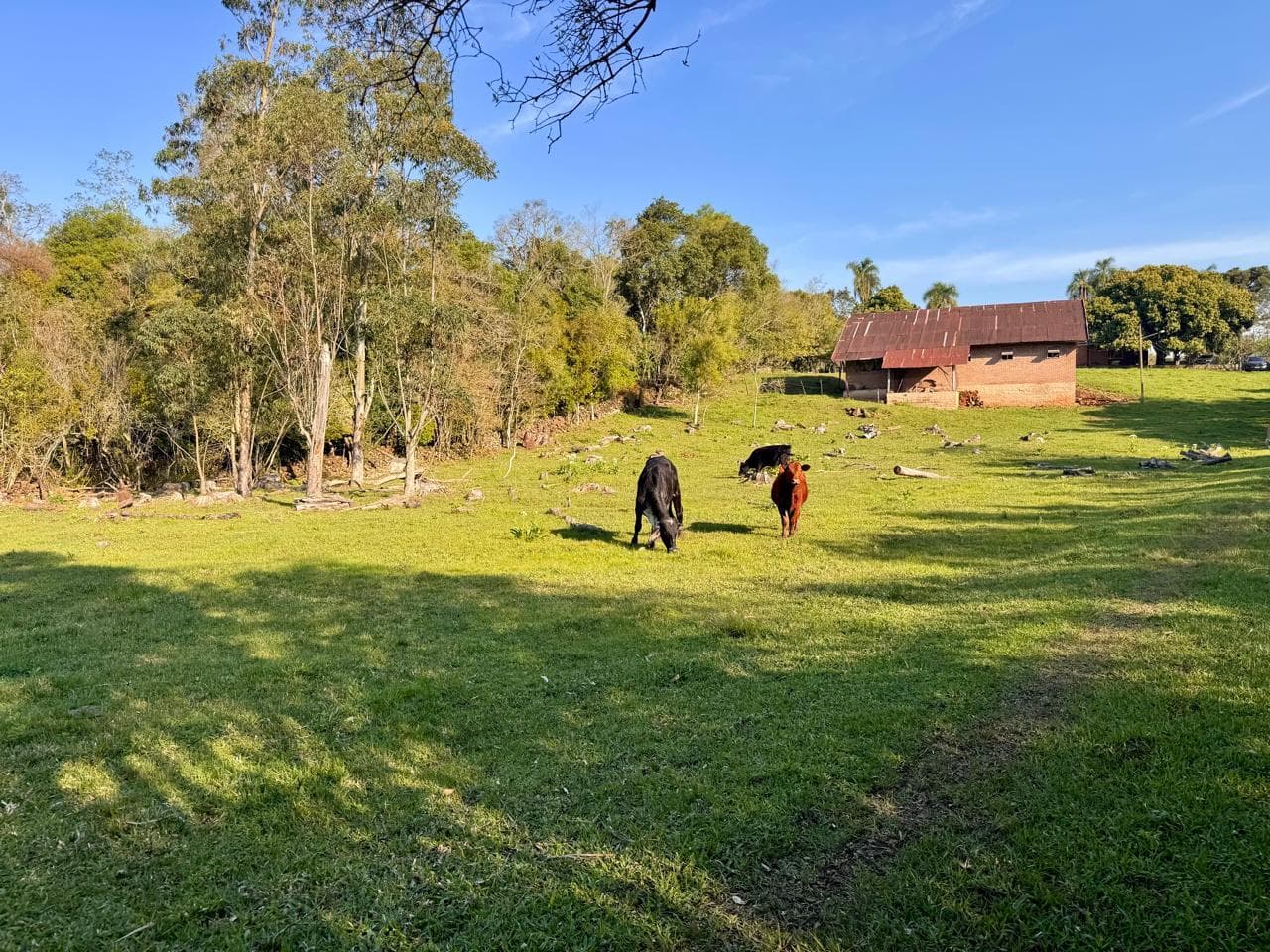 CHÁCARA / SÍTIO COM 2 DORMITÓRIOS, 540M² ÁREA PRIVATIVA À VENDA EM PICADA 48 ALTA