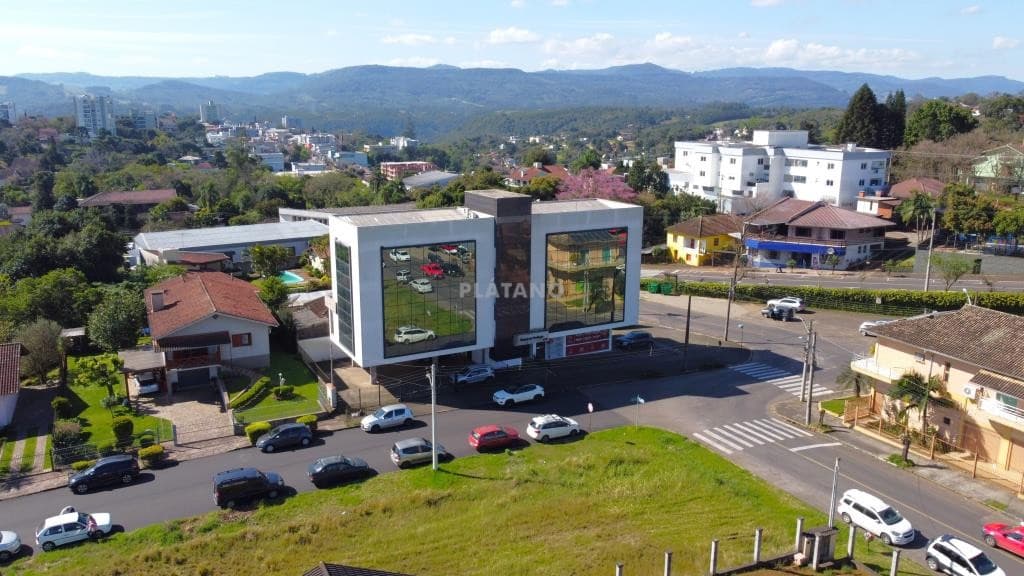 Próxima imagem