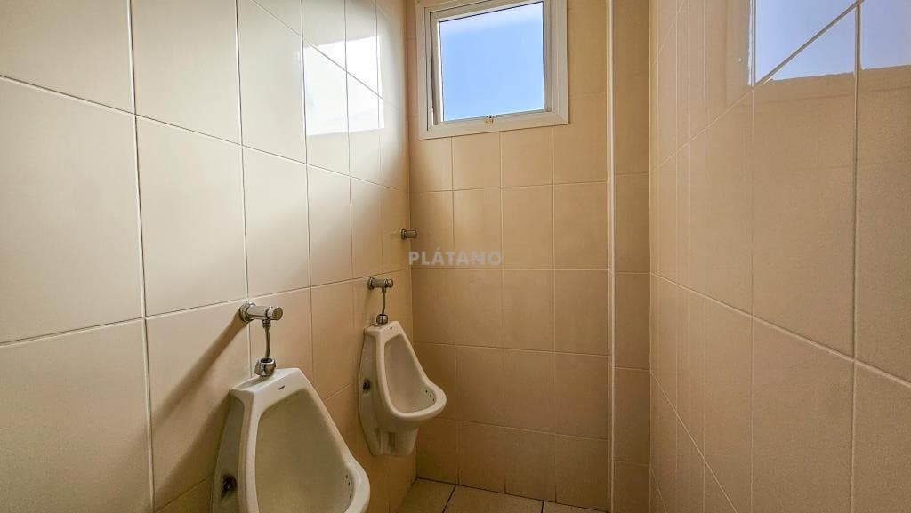 Imagem anterior
