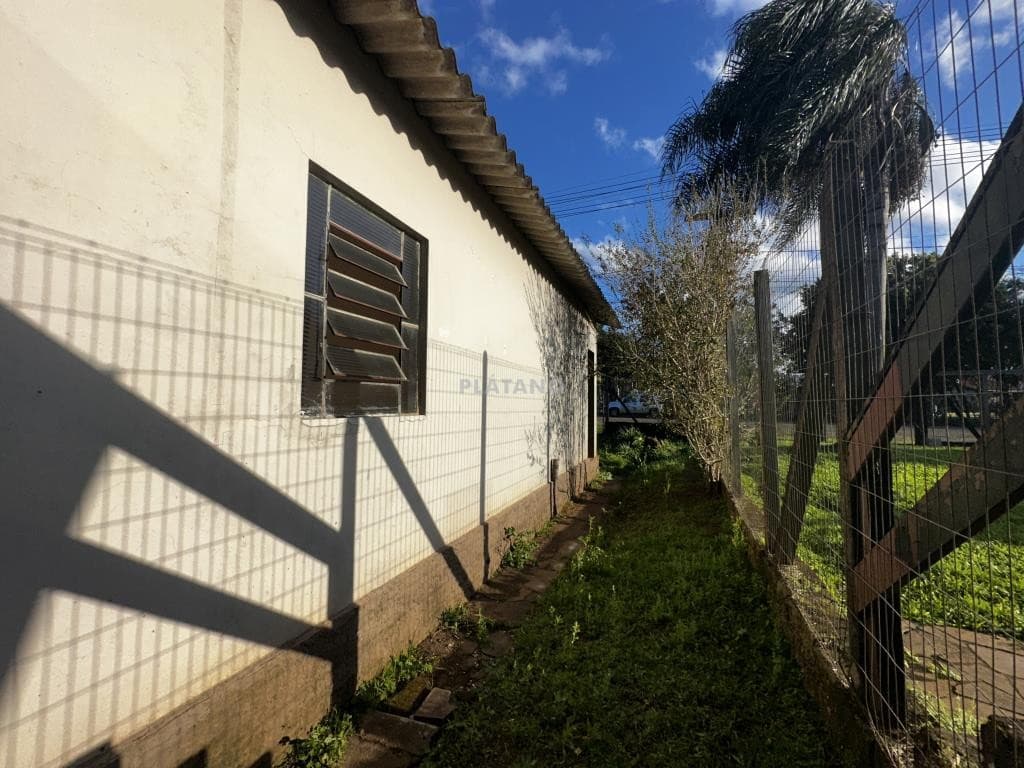 Próxima imagem
