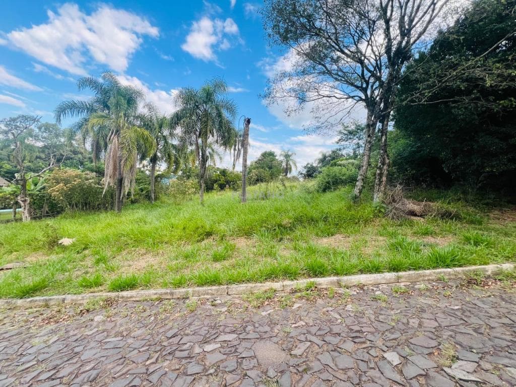 TERRENO, 1590M² ÁREA TOTAL para venda EM JARDIM PANORÂMICO - foto 3
