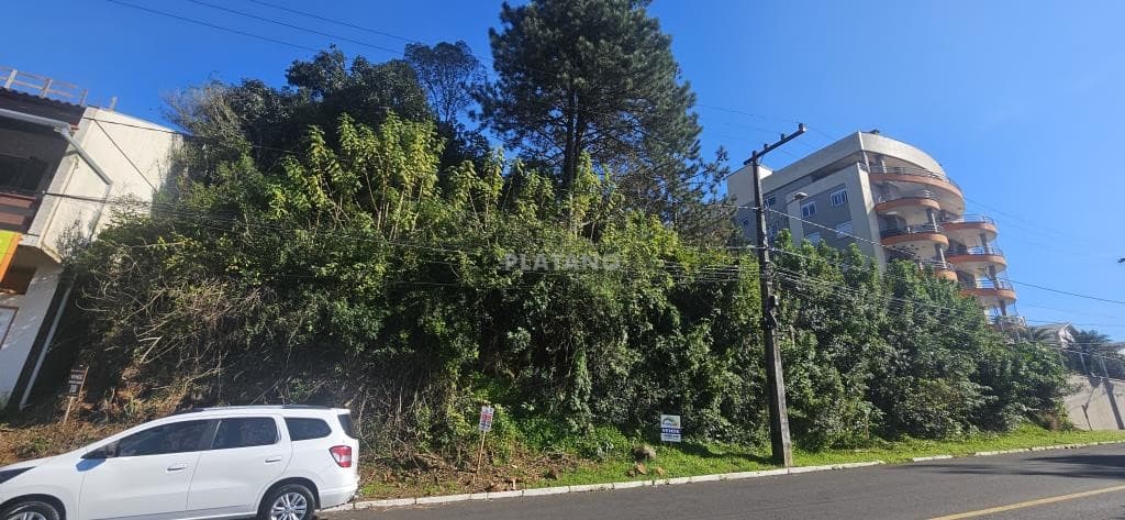TERRENO, 1760M² ÁREA TOTAL para venda EM CENTRO - foto 3