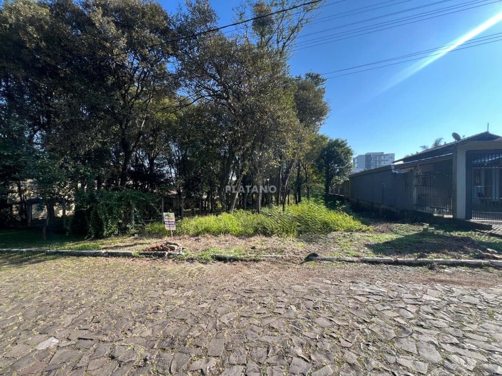 TERRENO, 455M² ÁREA TOTAL para venda EM VISTA ALEGRE - foto 2