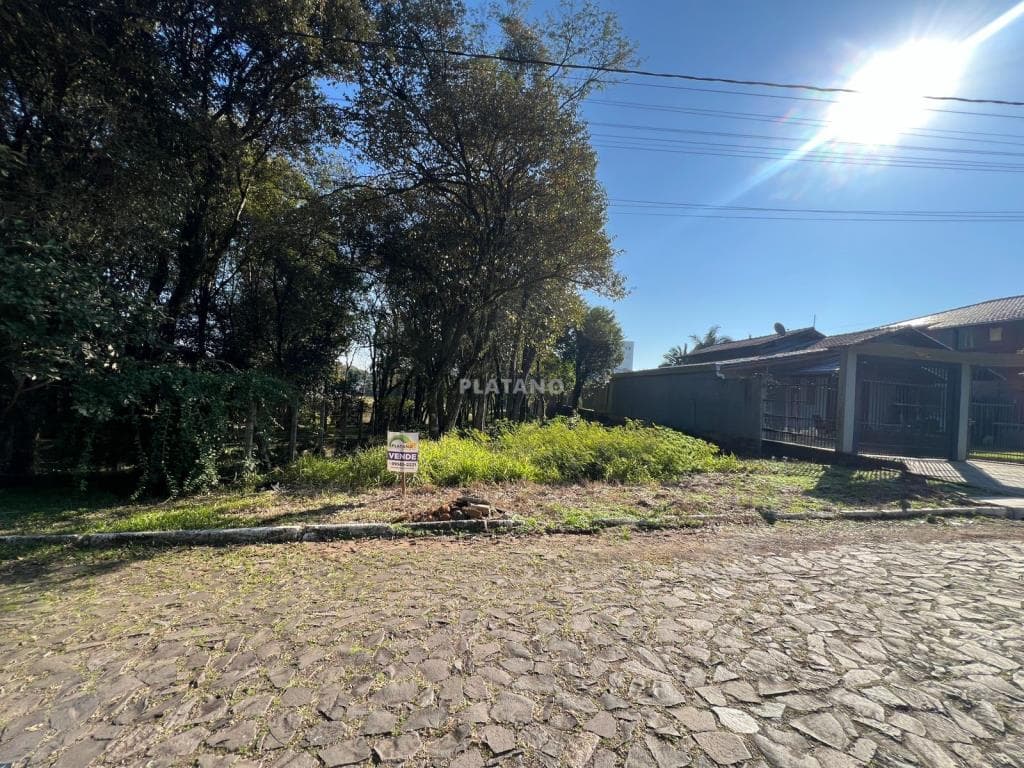 TERRENO, 455M² ÁREA TOTAL para venda EM VISTA ALEGRE - foto 3
