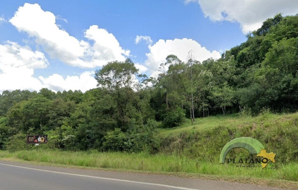 CHÁCARA / SÍTIO, 25539M² ÁREA TOTAL para venda EM RURAL - foto 2