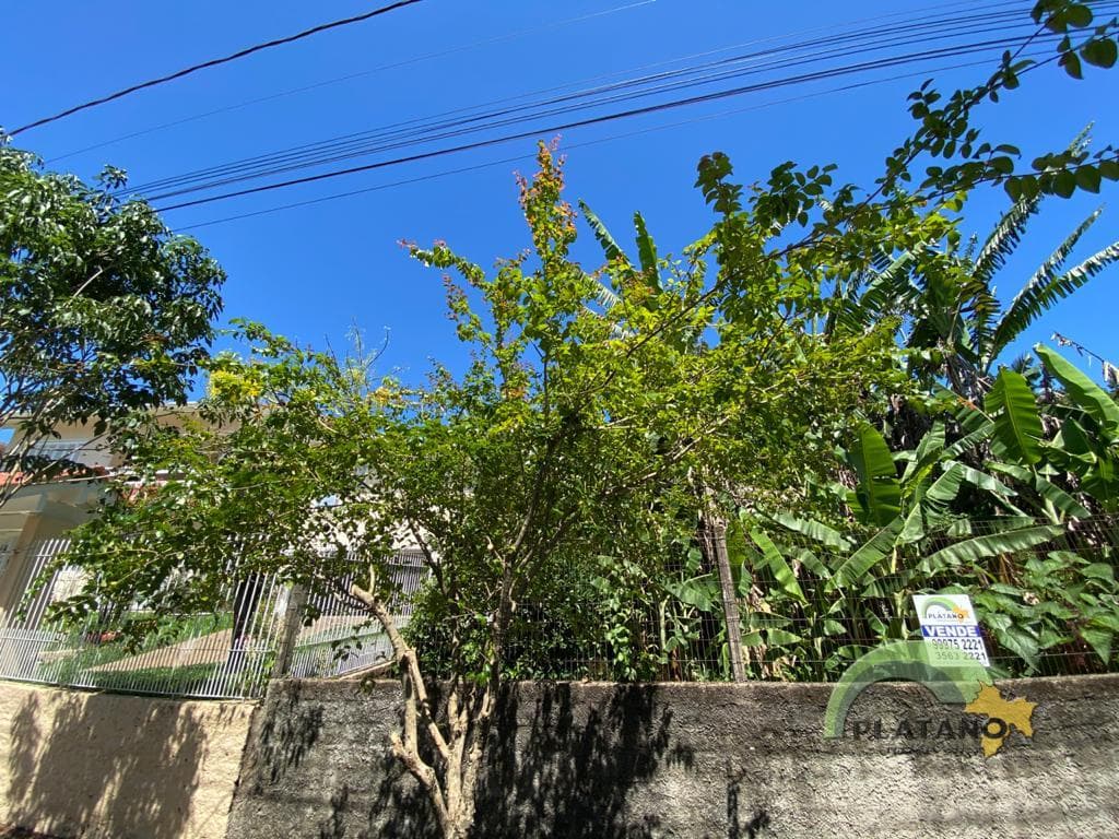TERRENO, 752M² ÁREA PRIVATIVA para venda EM CENTRO - foto 3