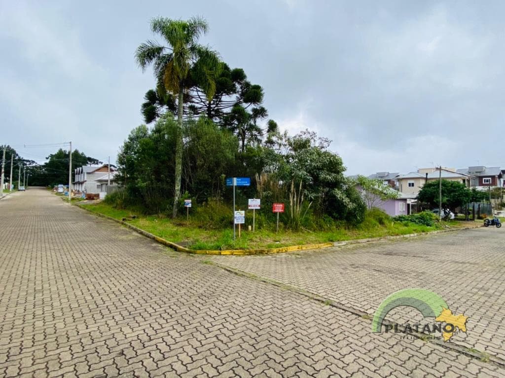 TERRENO, 390M² ÁREA TOTAL para venda EM VILA GERMÂNIA - foto 1
