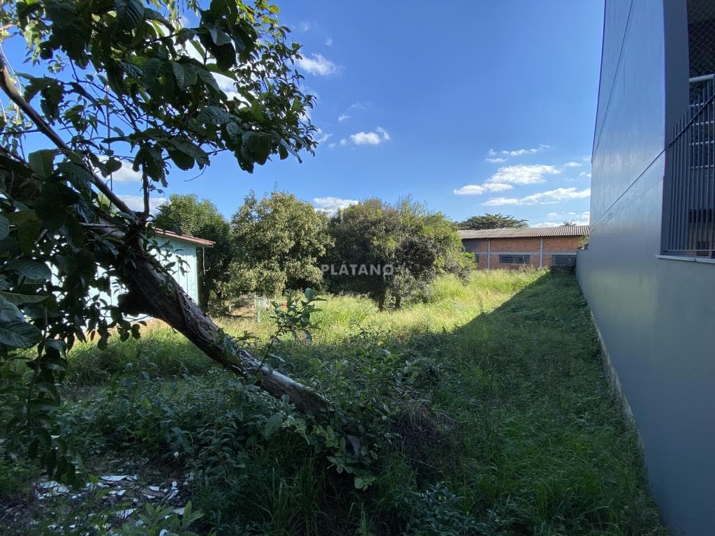 TERRENO, 480M² ÁREA PRIVATIVA para venda EM VISTA ALEGRE - foto 2
