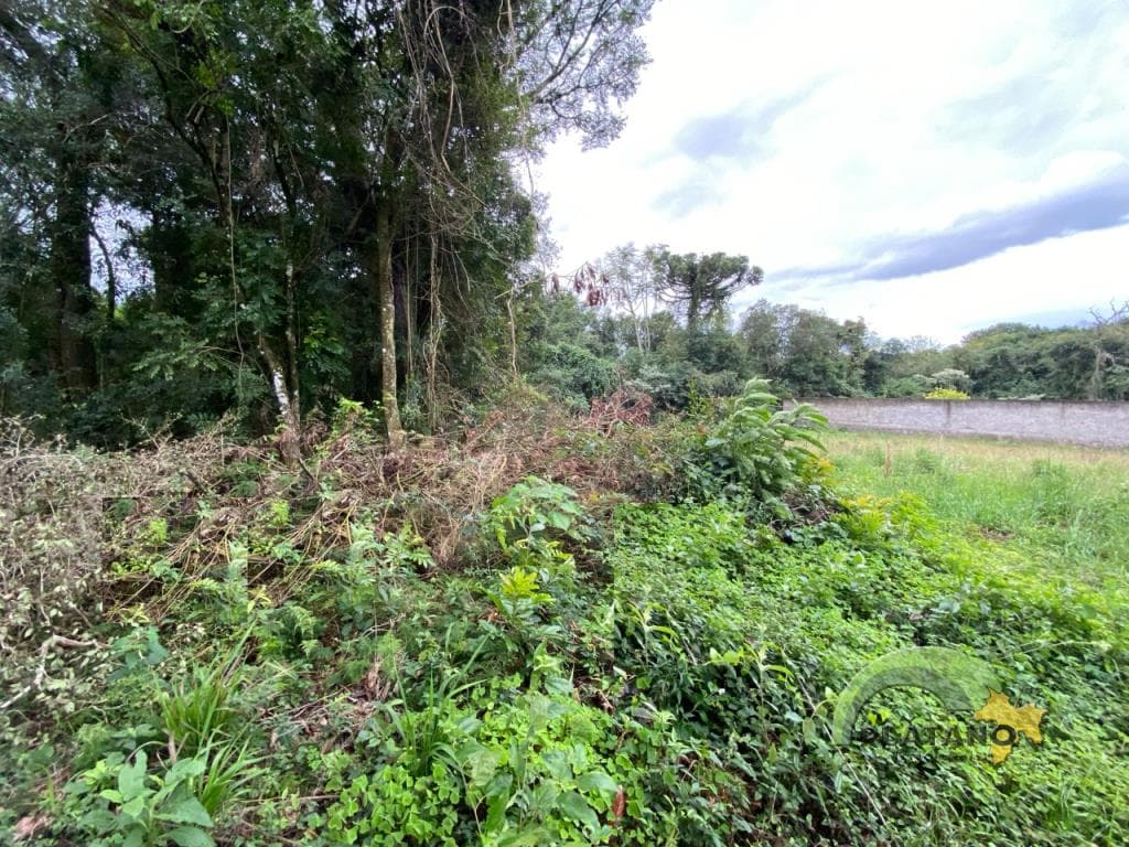 TERRENO, 1260M² ÁREA TOTAL para venda EM SETE DE SETEMBRO - foto 2