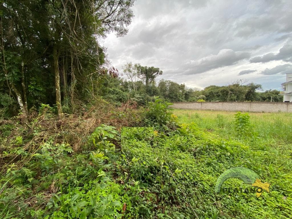 TERRENO, 1260M² ÁREA TOTAL para venda EM SETE DE SETEMBRO - foto 3