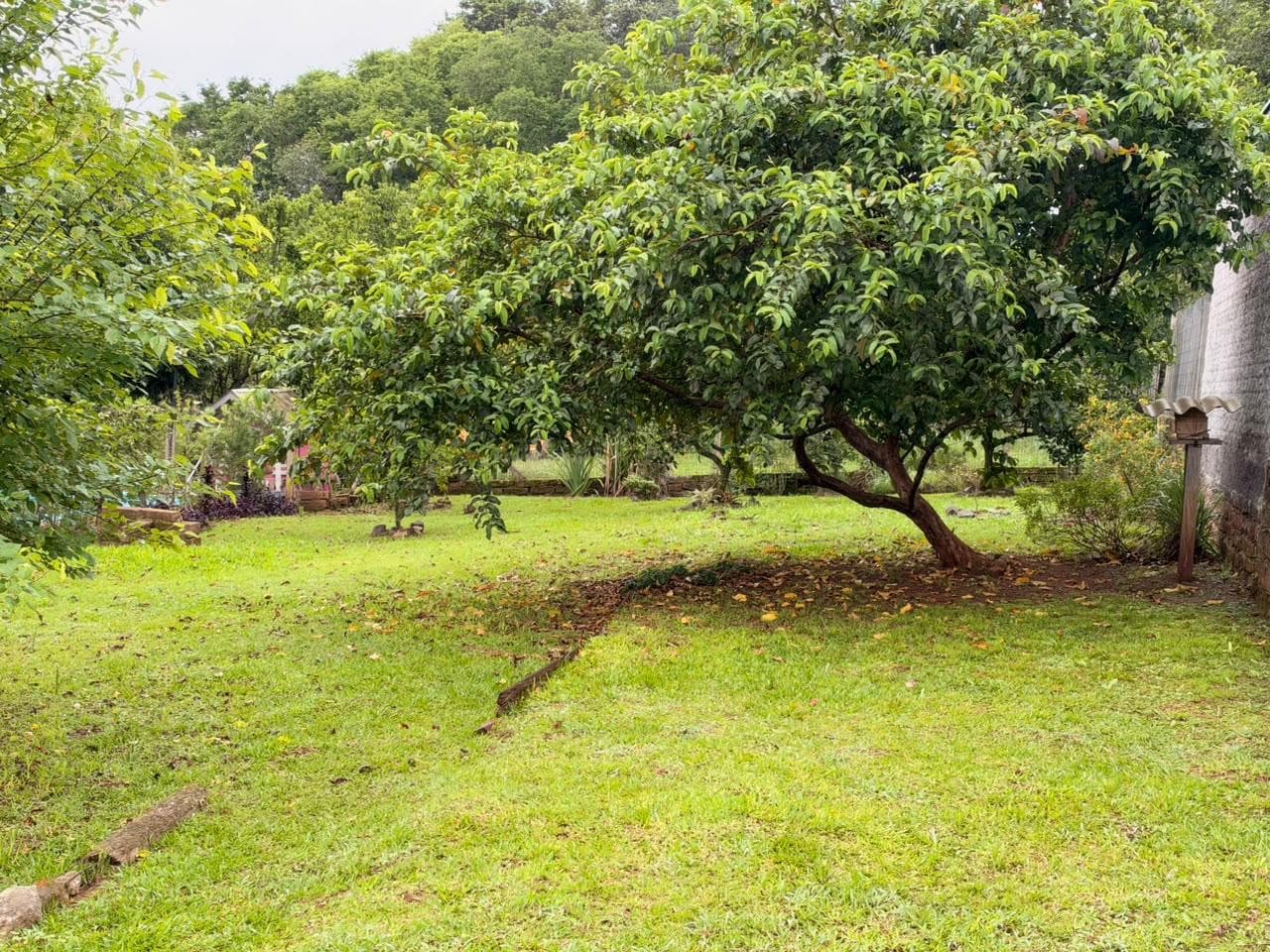 TERRENO, 372M² ÁREA TOTAL para venda EM JARDIM DO ALTO - foto 3
