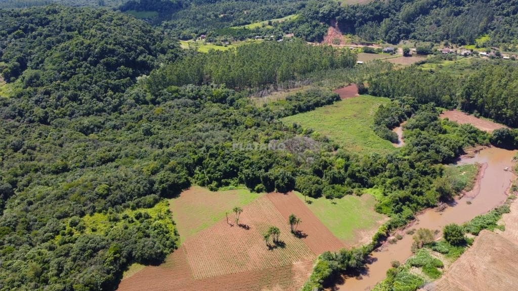 CHÁCARA / SÍTIO COM 3 DORMITÓRIOS, 2 VAGAS, 99050M² ÁREA TOTAL para venda EM 14 COLÔNIAS - foto 3