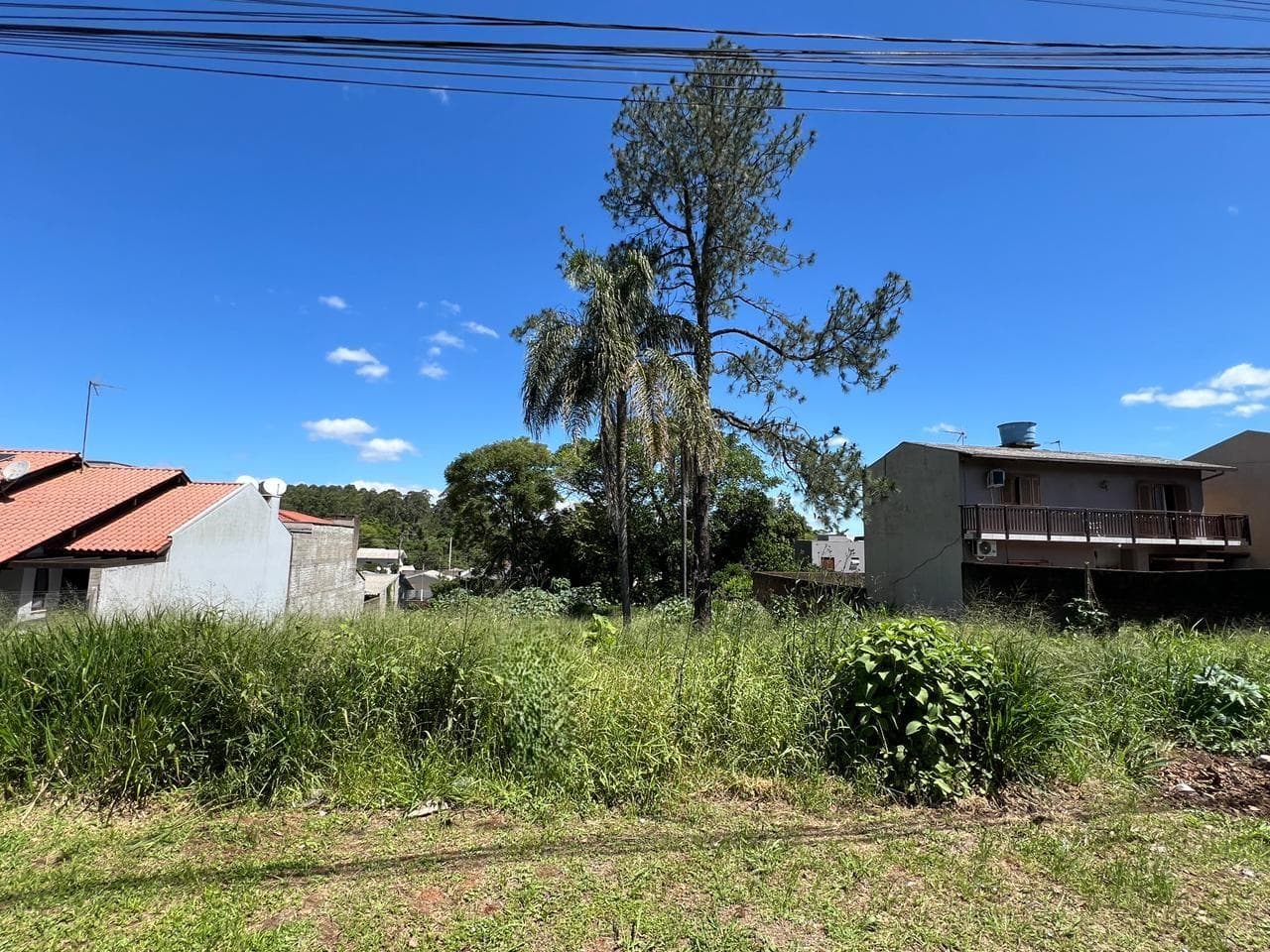 TERRENO, 544M² ÁREA TOTAL para venda EM CIDADE NOVA - foto 1