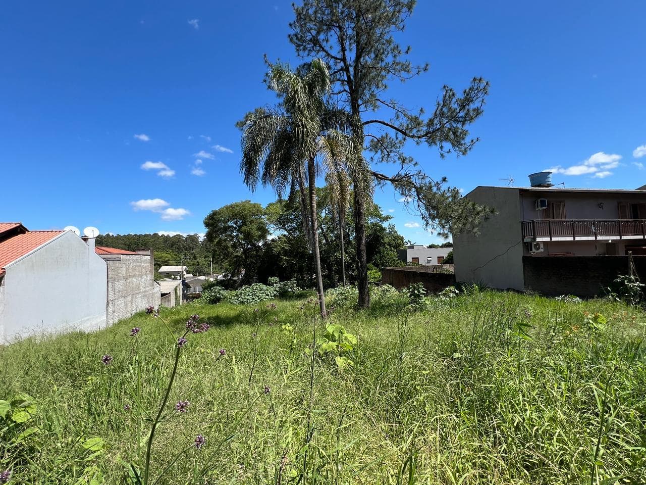 TERRENO, 544M² ÁREA TOTAL para venda EM CIDADE NOVA - foto 2