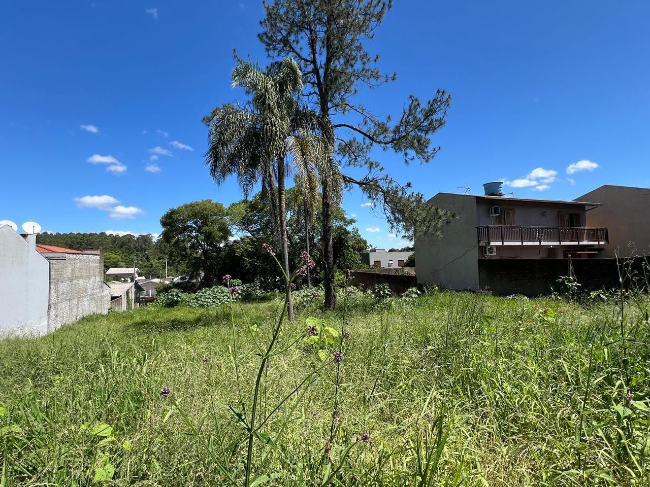TERRENO, 544M² ÁREA TOTAL para venda EM CIDADE NOVA - foto 3
