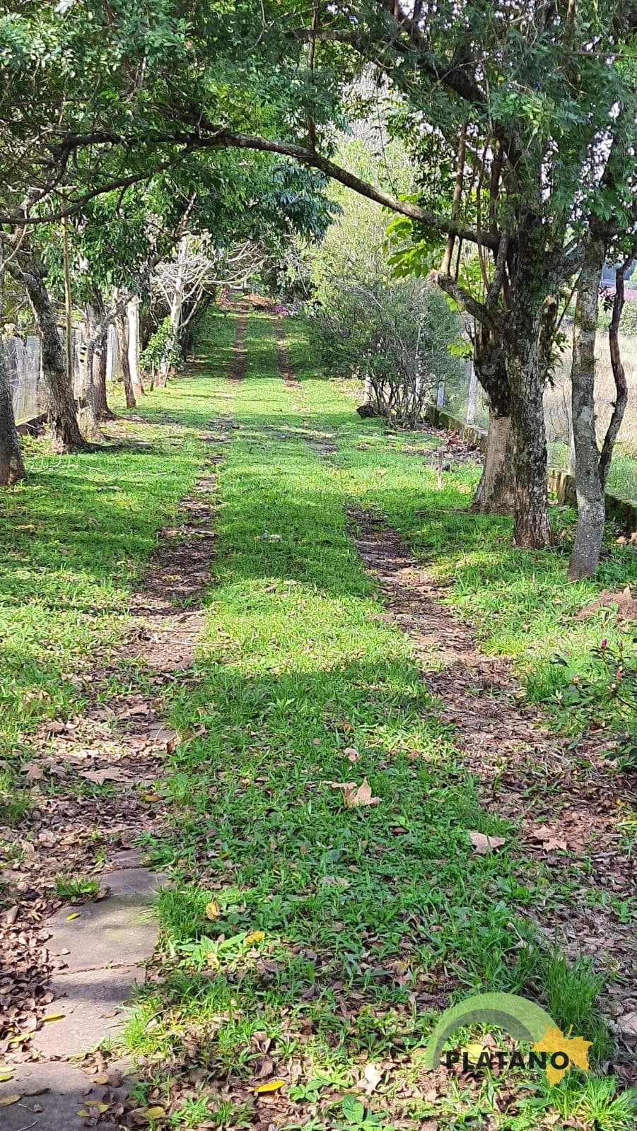 CHÁCARA / SÍTIO COM 5 DORMITÓRIOS, 4 VAGAS, 400M² ÁREA PRIVATIVA para venda EM BOM JARDIM - foto 3