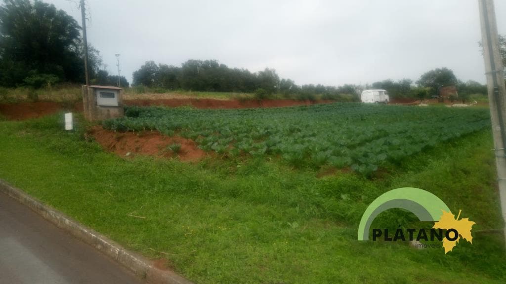 TERRENO, 450M² ÁREA TOTAL para venda EM CENTRO - foto 3
