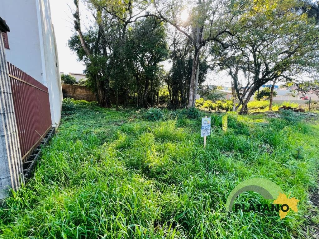 TERRENO, 312M² ÁREA TOTAL para venda EM CIDADE NOVA - foto 1
