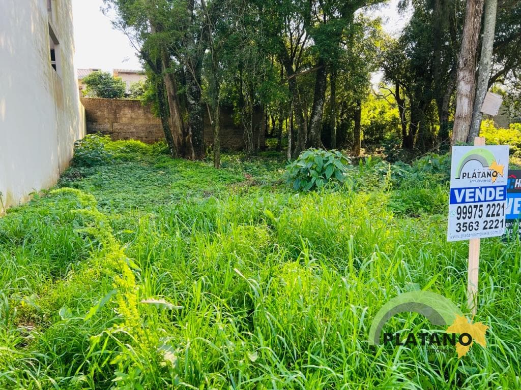 TERRENO, 312M² ÁREA TOTAL para venda EM CIDADE NOVA - foto 3