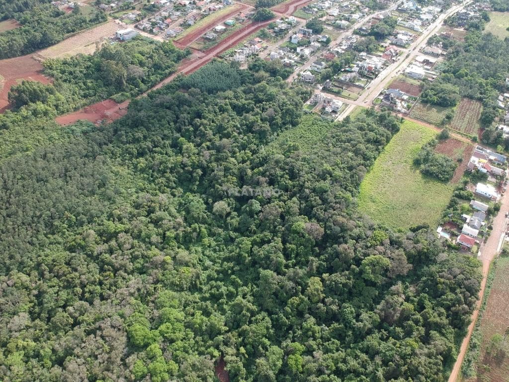 ÁREA DE TERRAS, 12111M² ÁREA TOTAL para venda EM JARDIM DO ALTO - foto 1