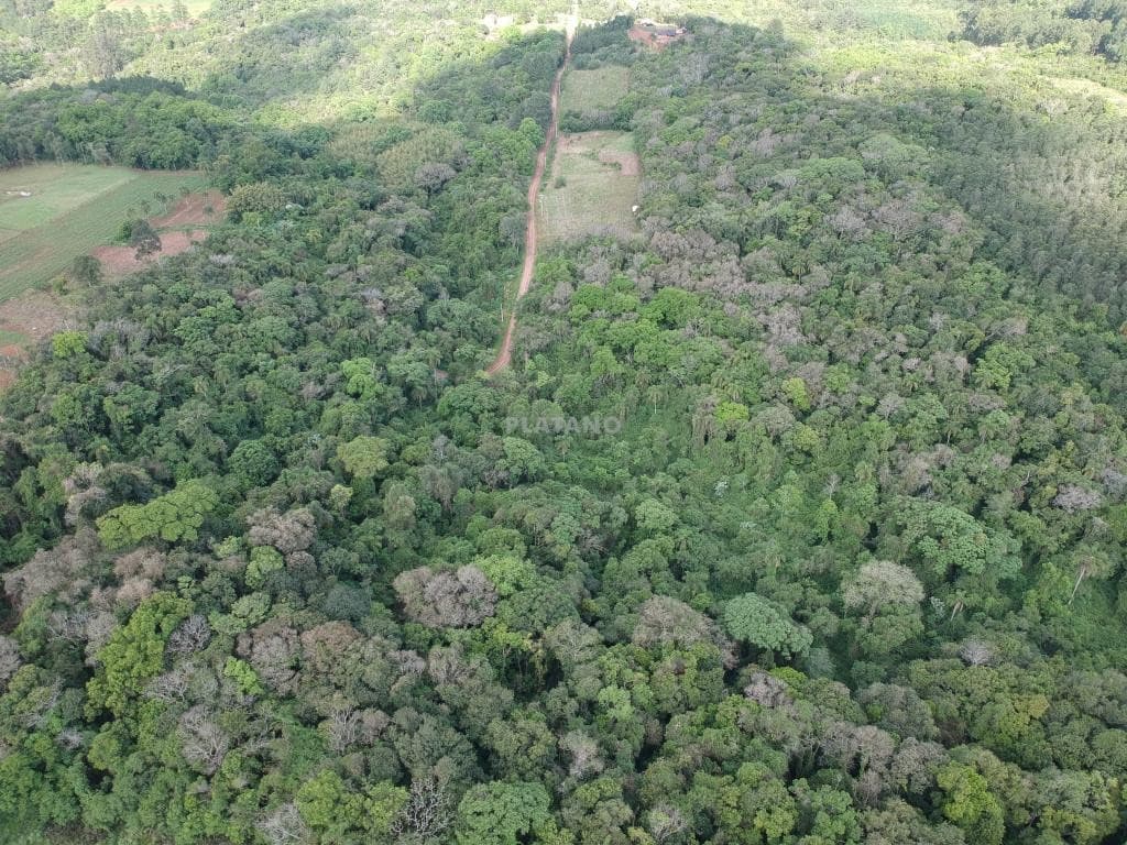 ÁREA DE TERRAS, 12111M² ÁREA TOTAL para venda EM JARDIM DO ALTO - foto 2