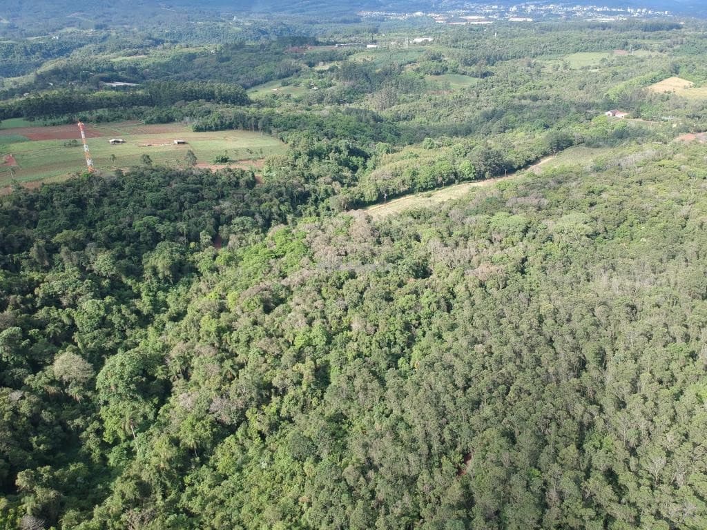 ÁREA DE TERRAS, 12111M² ÁREA TOTAL para venda EM JARDIM DO ALTO - foto 3