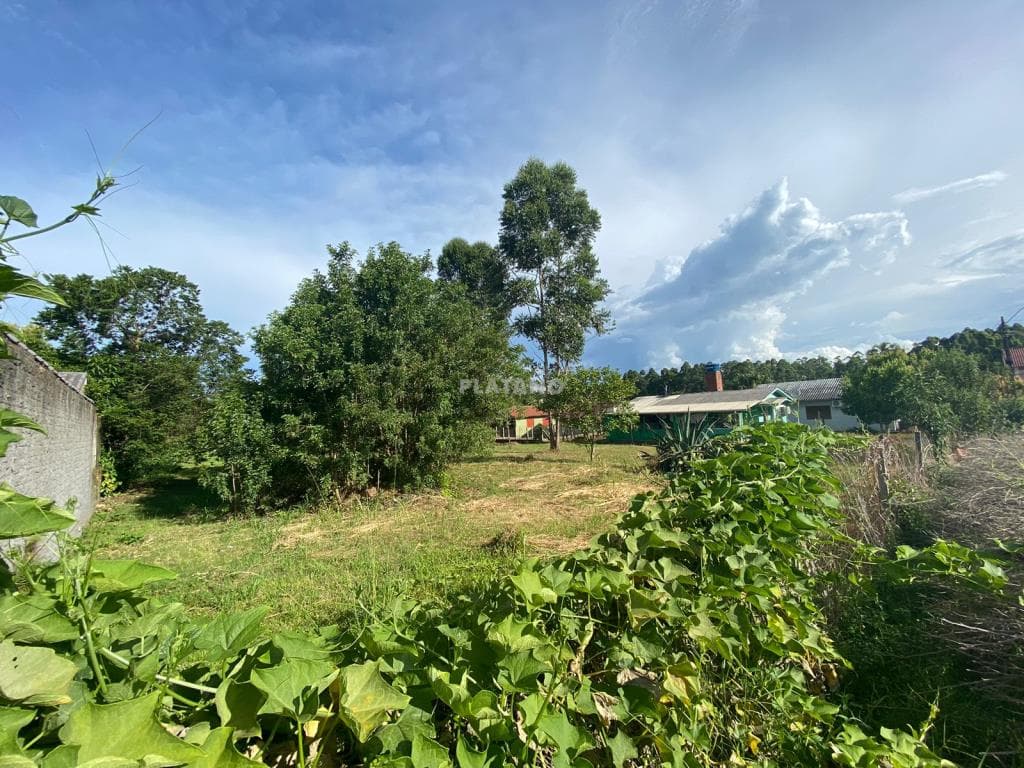 TERRENO, 2057M² ÁREA PRIVATIVA para venda EM JARDIM PANORÂMICO - foto 3