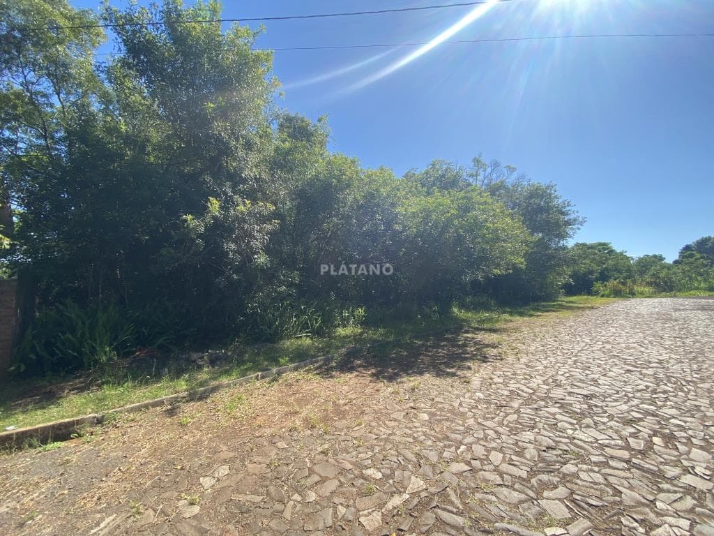 TERRENO, 341M² ÁREA TOTAL para venda EM JARDIM DO ALTO - foto 3