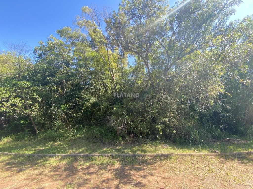 TERRENO, 372M² ÁREA TOTAL para venda EM JARDIM DO ALTO - foto 2