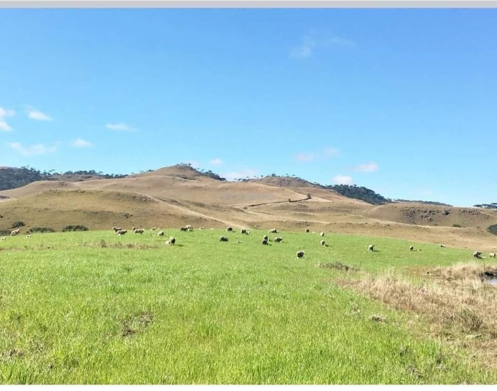 CHÁCARA / SÍTIO COM 4 DORMITÓRIOS, 4 VAGAS, 1000M² ÁREA PRIVATIVA para venda EM CENTRO - foto 2