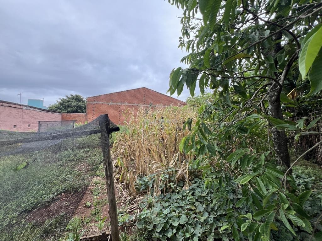 TERRENO, 748M² ÁREA PRIVATIVA para venda EM BOM JARDIM - foto 2