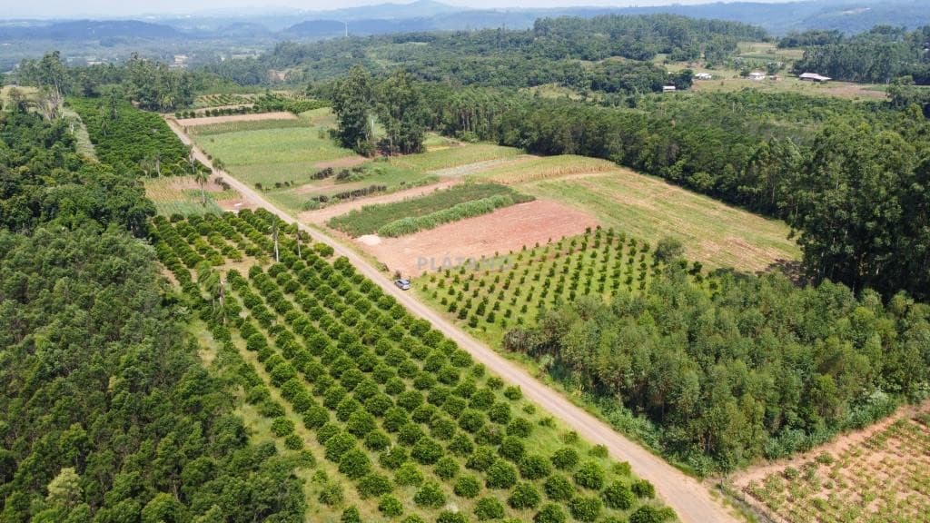 ÁREA DE TERRAS, 19682M² ÁREA TOTAL para venda EM CENTRO - foto 2