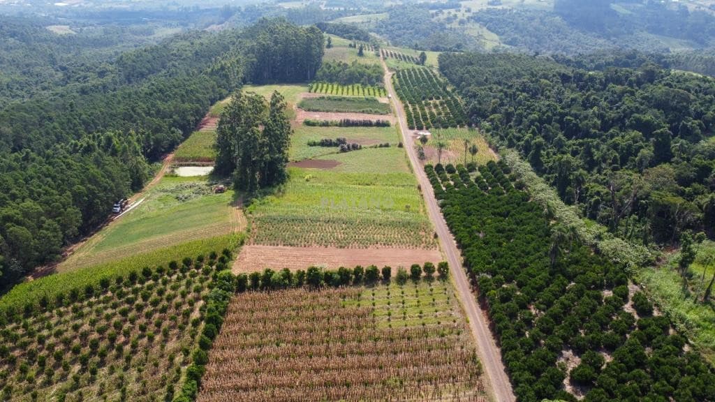 ÁREA DE TERRAS, 19682M² ÁREA TOTAL para venda EM CENTRO - foto 3