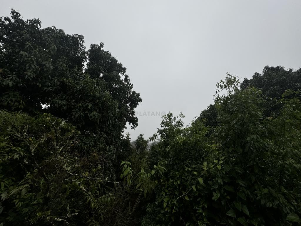 TERRENO, 530M² ÁREA TOTAL para venda EM VISTA ALEGRE - foto 3