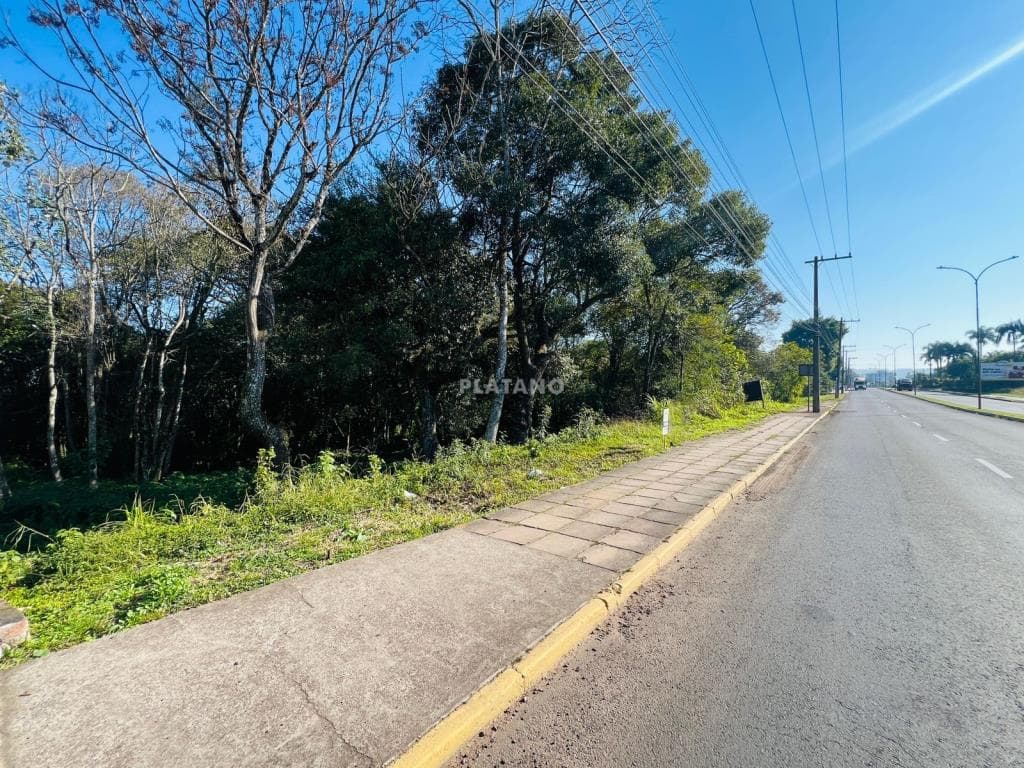 TERRENO, 792M² ÁREA PRIVATIVA para venda EM CIDADE NOVA - foto 3