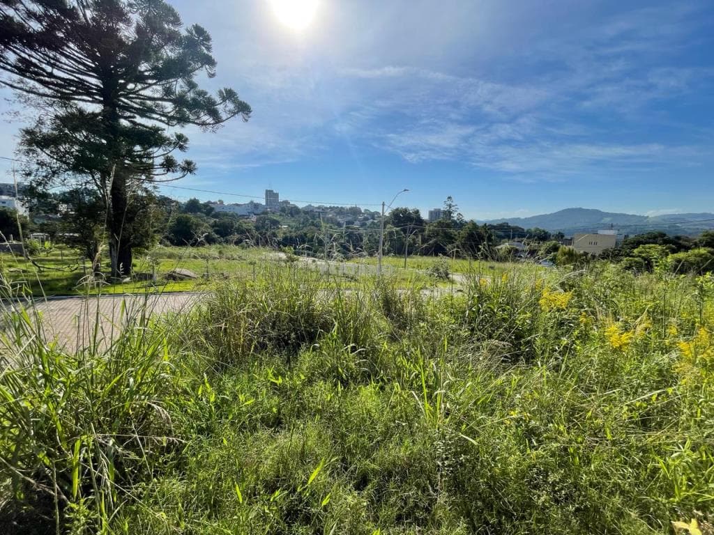 TERRENO, 450M² ÁREA PRIVATIVA para venda EM PALMARES - foto 1