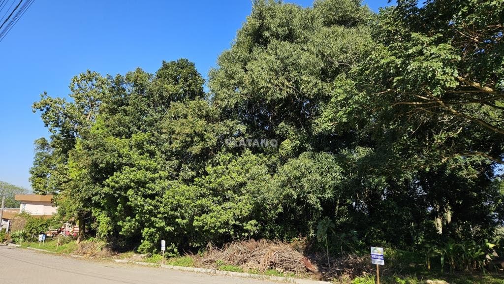 TERRENO, 448M² ÁREA TOTAL para venda EM JARDIM PANORÂMICO - foto 2