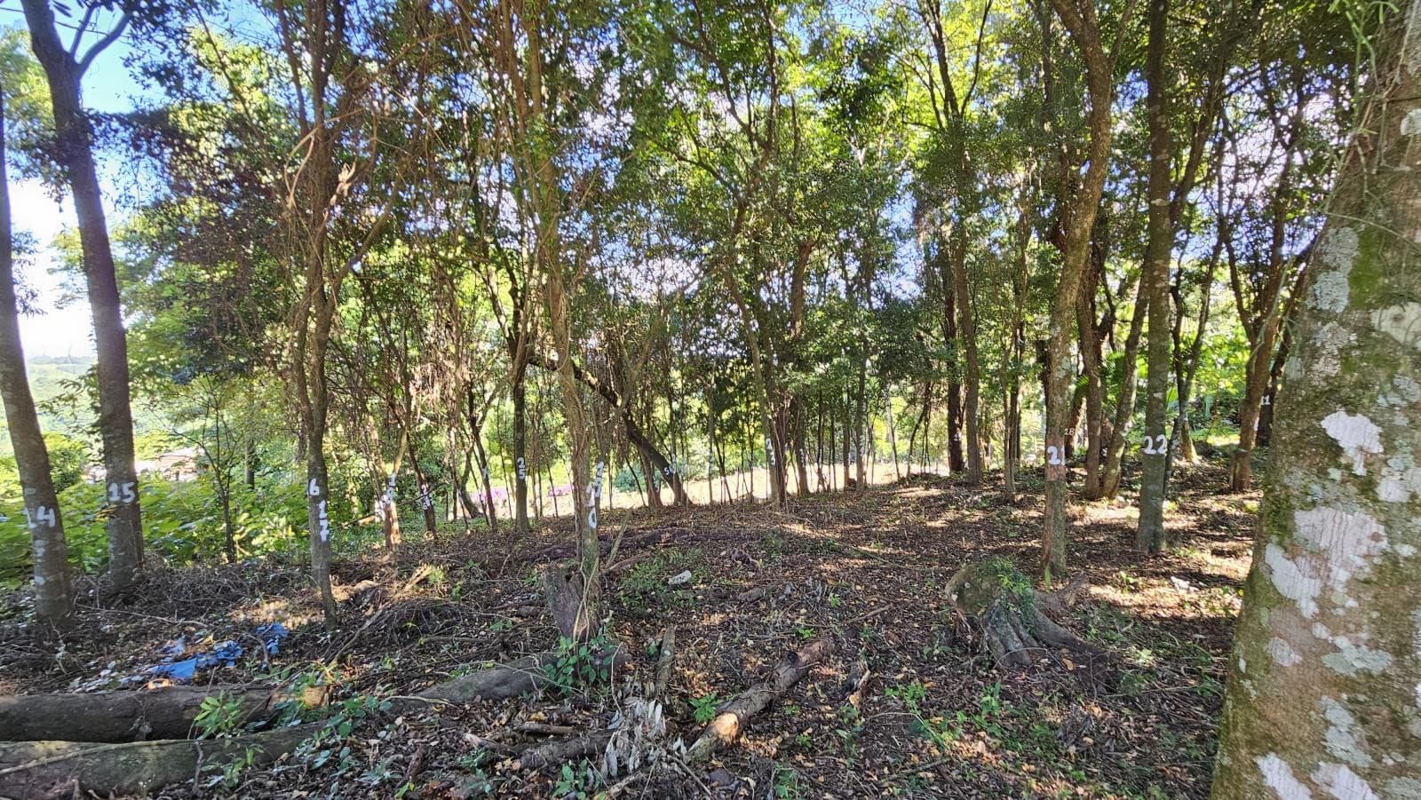 TERRENO, 448M² ÁREA TOTAL para venda EM JARDIM PANORÂMICO - foto 3