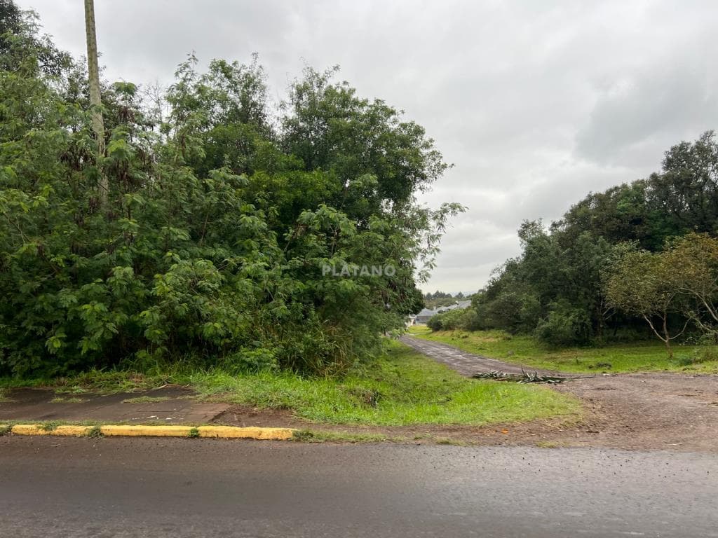 TERRENO, 801M² ÁREA TOTAL para venda EM CIDADE NOVA - foto 1