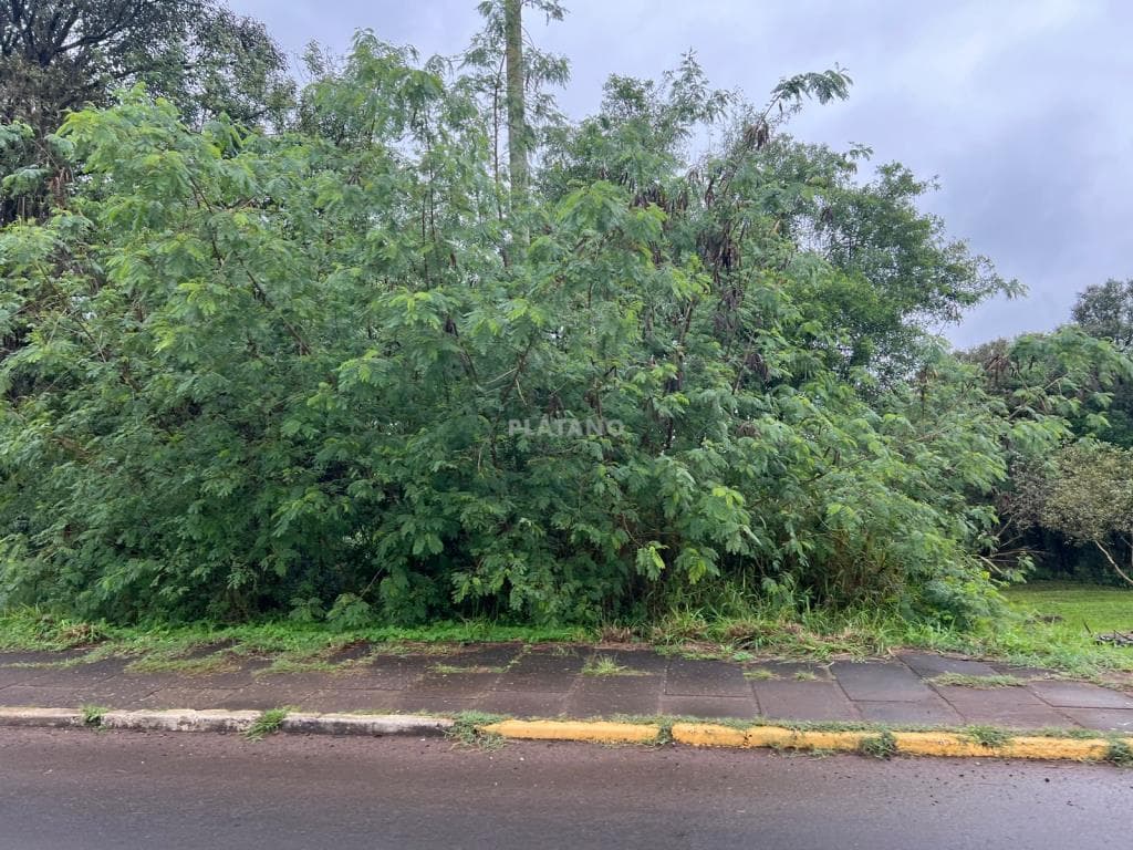 TERRENO, 801M² ÁREA TOTAL para venda EM CIDADE NOVA - foto 2