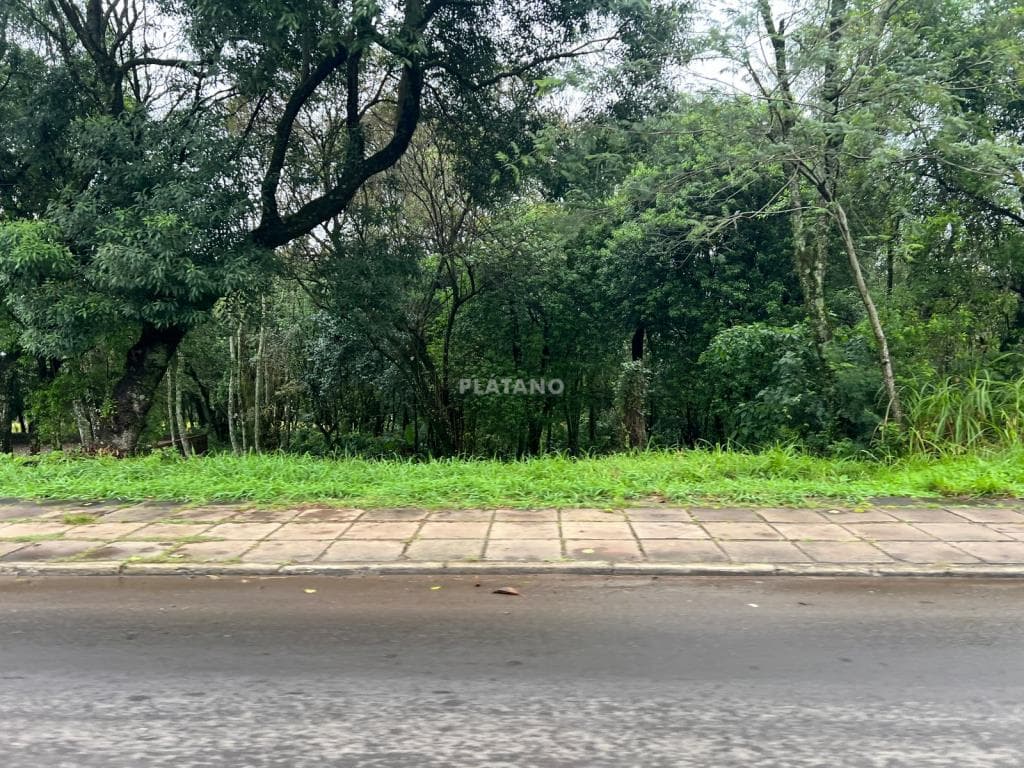 TERRENO, 801M² ÁREA TOTAL para venda EM CIDADE NOVA - foto 3