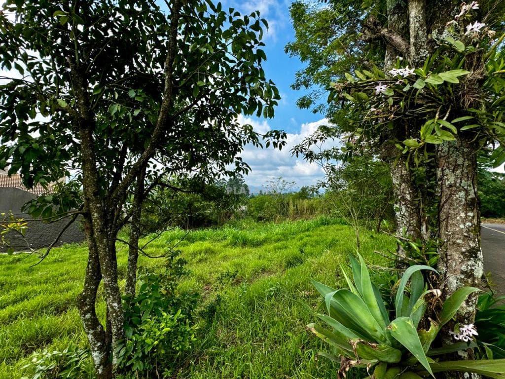 TERRENO, 360M² ÁREA TOTAL para venda EM CONCÓRDIA - foto 2