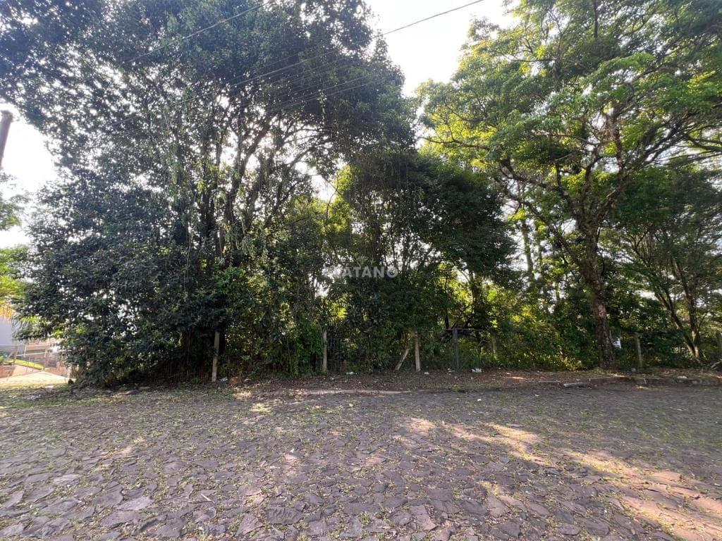 TERRENO, 440M² ÁREA PRIVATIVA para venda EM BOM JARDIM - foto 1