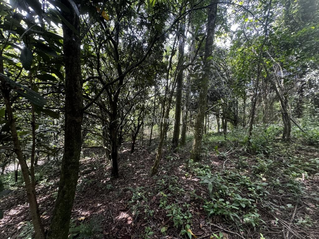 TERRENO, 336M² ÁREA PRIVATIVA para venda EM TRAVESSÃO - foto 1
