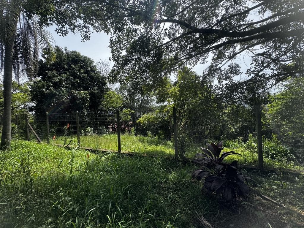 TERRENO, 403M² ÁREA PRIVATIVA para venda EM TRAVESSÃO - foto 3