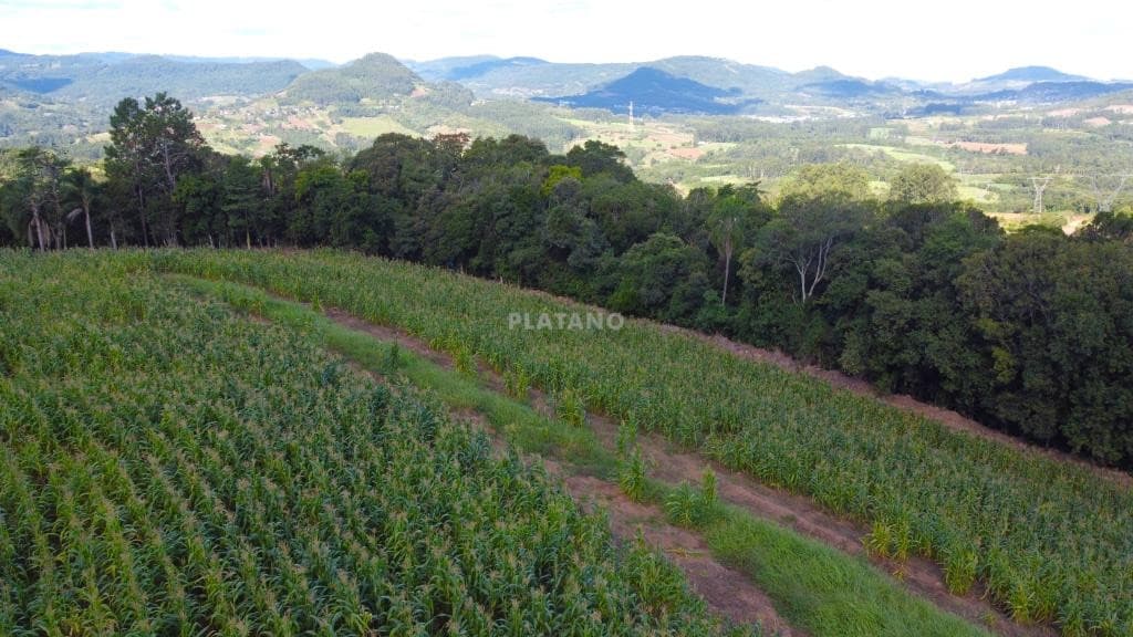 CHÁCARA / SÍTIO, 30809M² ÁREA TOTAL para venda EM CENTRO - foto 1