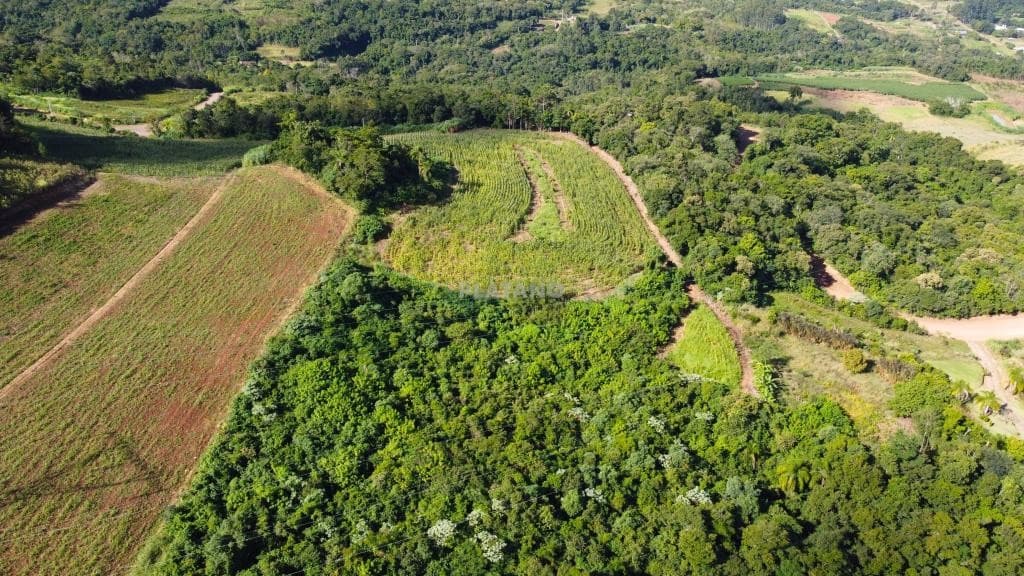 CHÁCARA / SÍTIO, 30809M² ÁREA TOTAL para venda EM CENTRO - foto 3