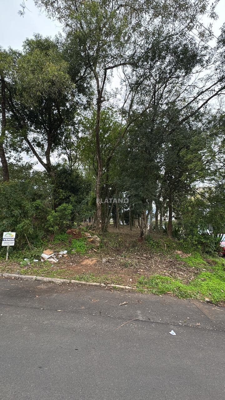 TERRENO, 392M² ÁREA TOTAL para venda EM CIDADE NOVA - foto 1